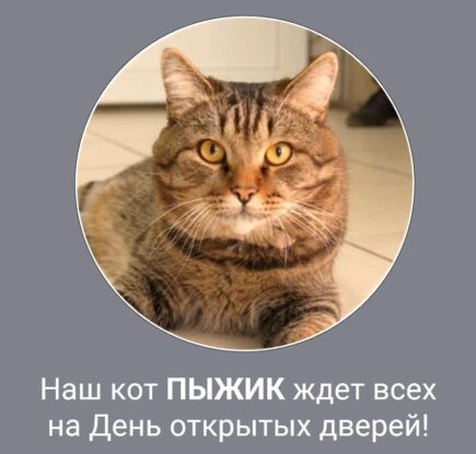 День открытых дверей